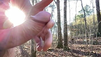 Boardwalk on a sunny day , enjoying myself out in nature. So nice.